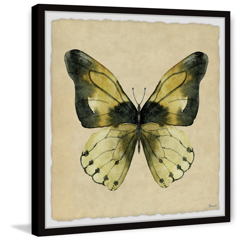 The Tropical Butterfly - Single Picture Frame Print, 30cm H x 30cm W x 3.81cm D