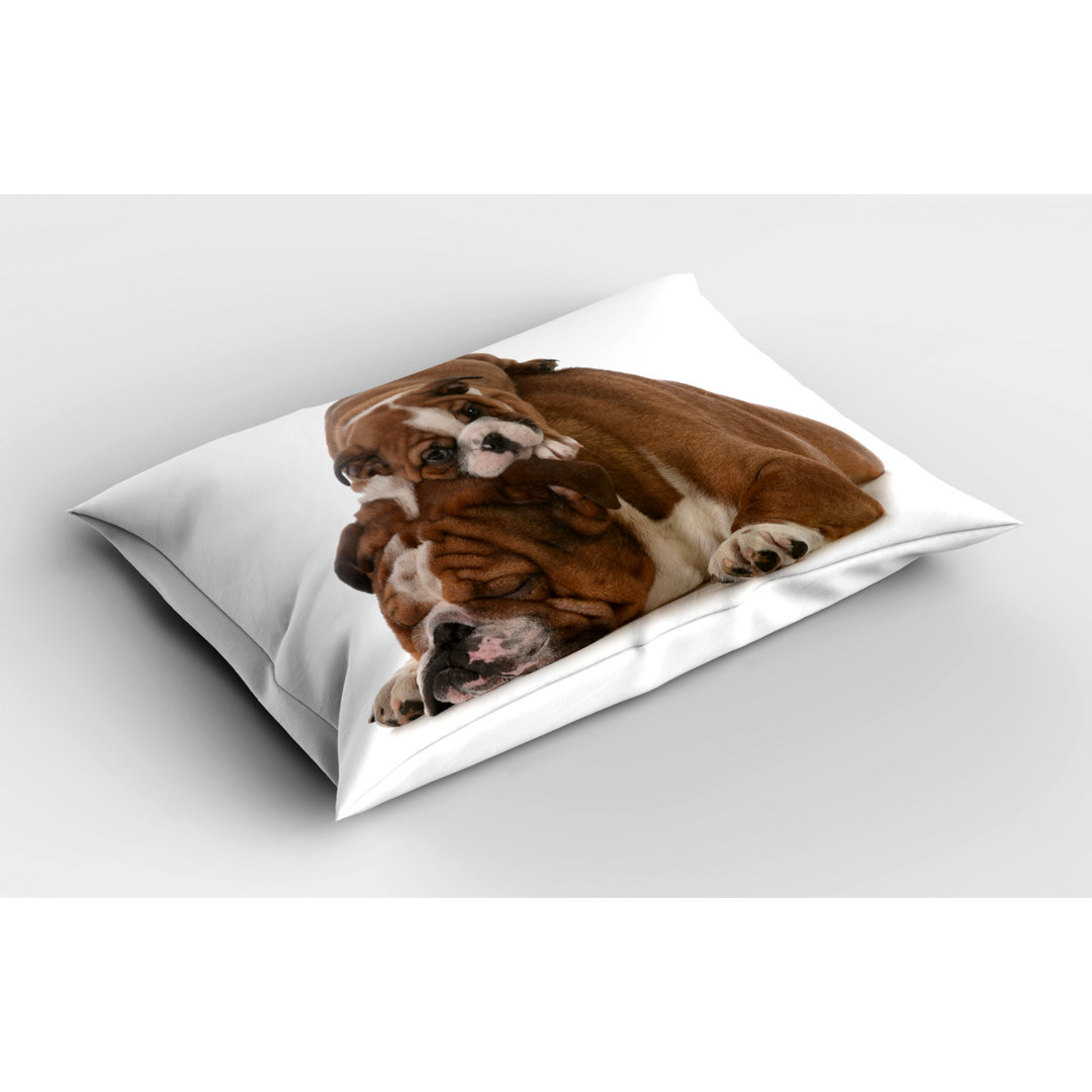 English Polyester Sham Set Ambesonne 