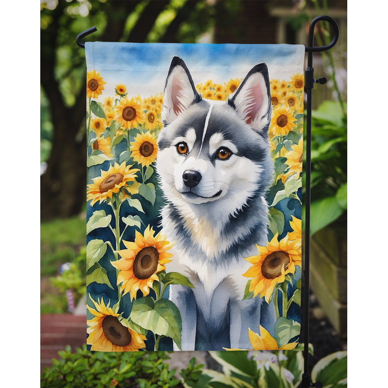 Lévrier irlandais dans le drapeau du jardin de tournesols, Klee Kai de l'Alaska