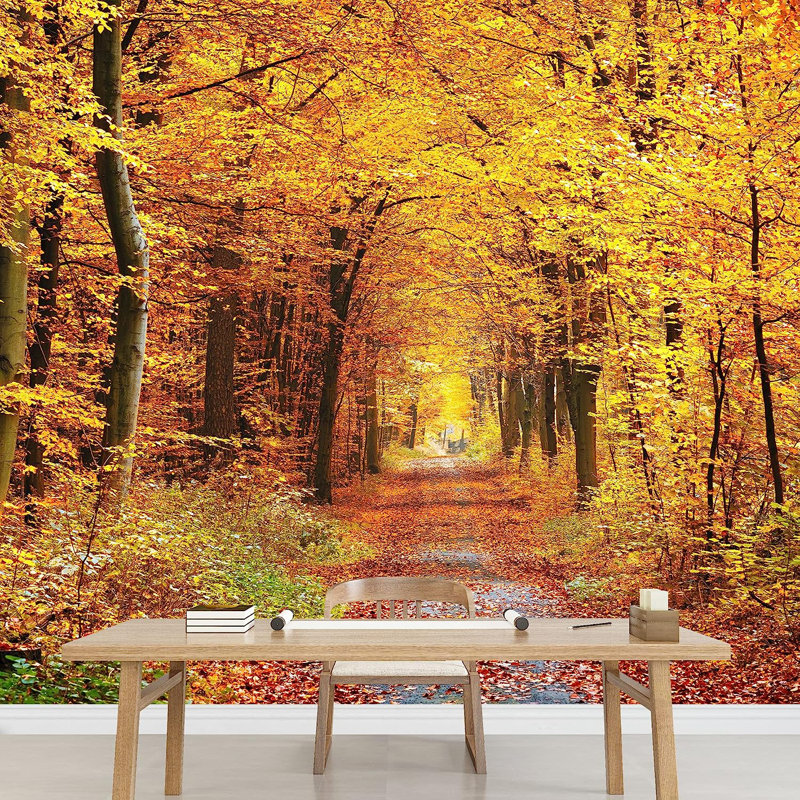 Peel & Stick Clear Border, 66" L x 96" W