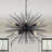 24" Black Sputnik Chandelier 8 Lights