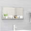 Dorlene Mirror with Shelves-635022502-583272121