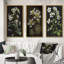 «Blossoming Diphylleia Grayi On Black», 3 pièces-1515567673-1515567672