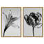 Peeking Flowers Set Set by Oliver Gal-351033425-351033428