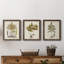 Fern Botanical I - Ensemble de 3 peintures sur toiles encadrées-772660943-772660938