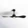Popovich 52'' Ceiling Fan with LED Lights
