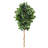 Ficus Artificial Tree