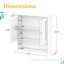 Armoire murale de salle de bain avec porte