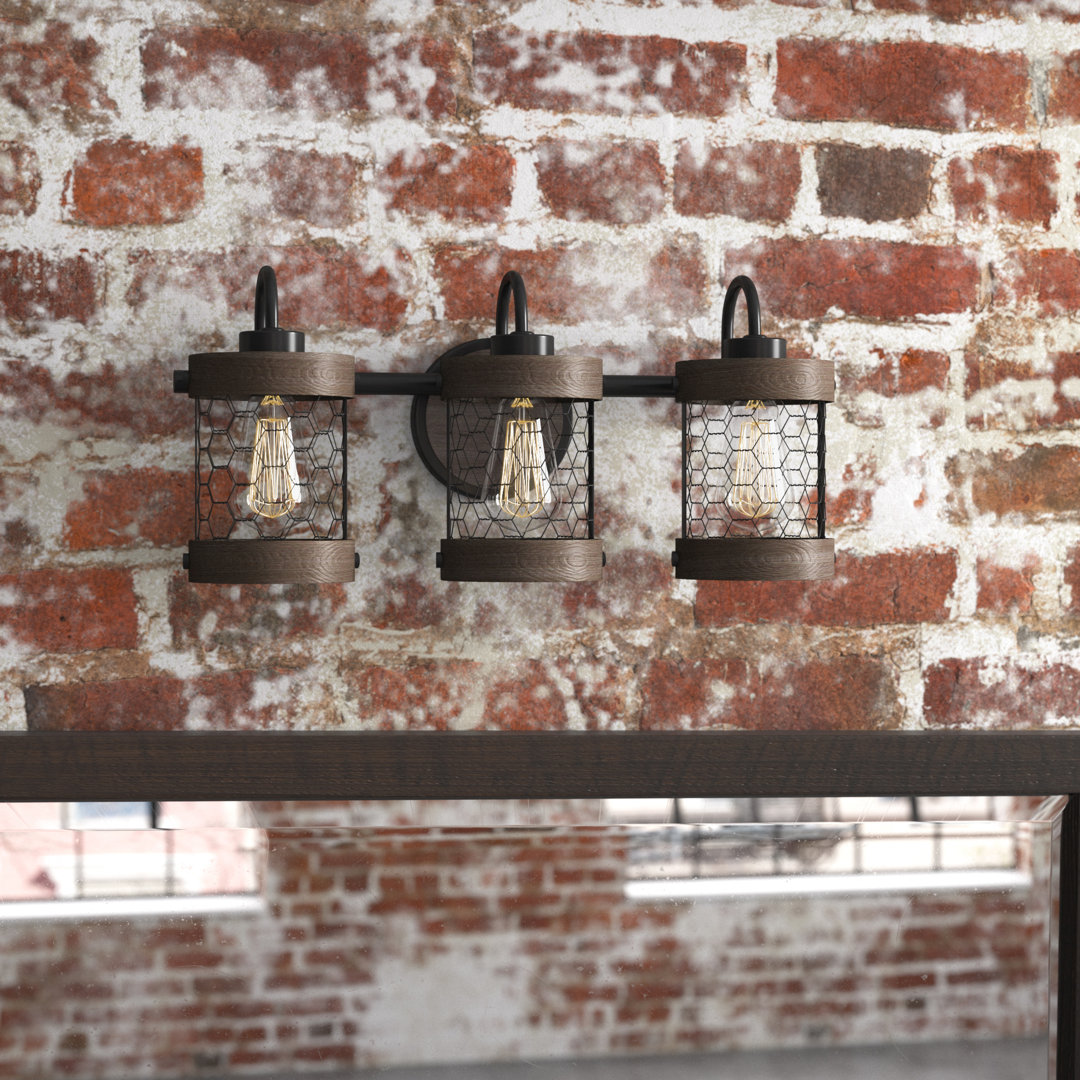 Stijn 3-Light Vanity Light Trent Austin Design® 
