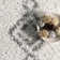 Schiffman Gray Area Rug