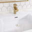 Ensemble de meuble-lavabo double 60 po avec surface solide 60 po-433716126-433716124