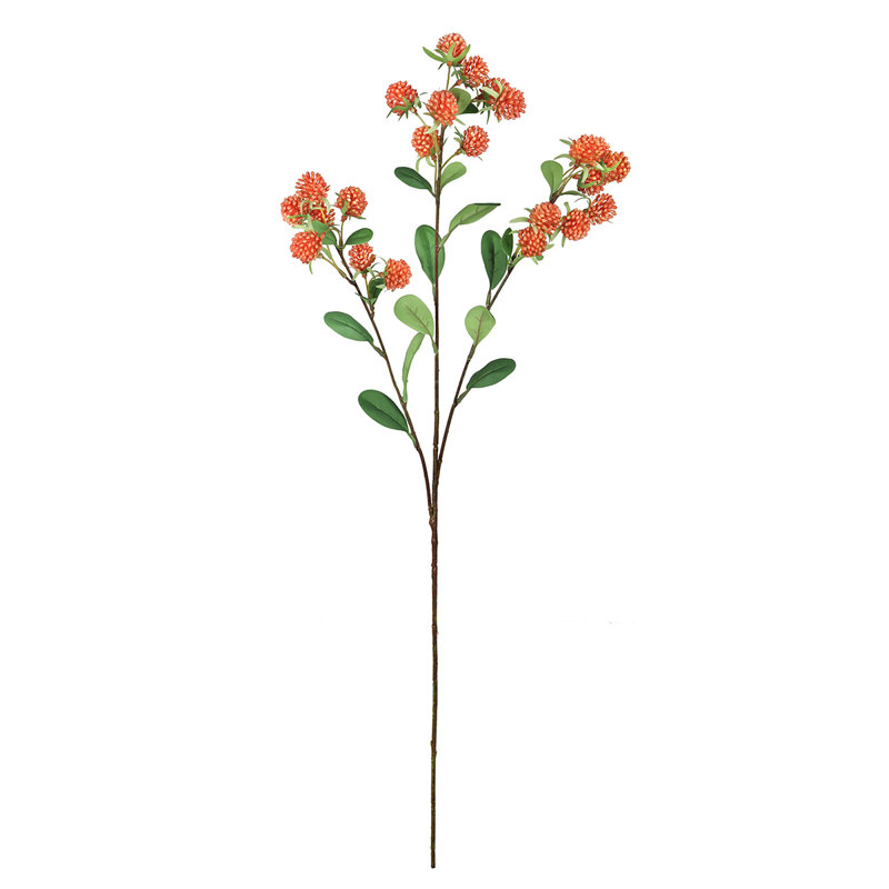 Tige de baies sauvages, Orange