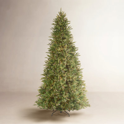 Adneta Slim Flocked 12' Pre-Lit Fir Christmas Tree