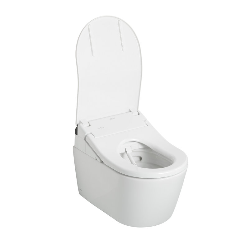 Dual-Flush Elongated Wall-Mounted with High Efficiency Flush (Seat Included)