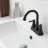 Widespread Single-handle Bathroom Faucet with Drain Assembly-86864995