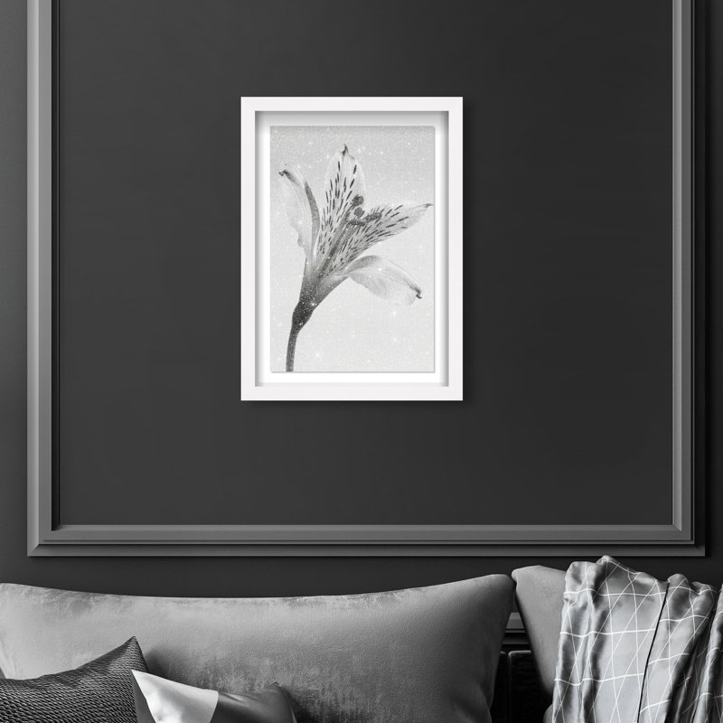Delicate Spots Framed Graphic Art, 16.5" H x 11.5" W, White Shadowbox