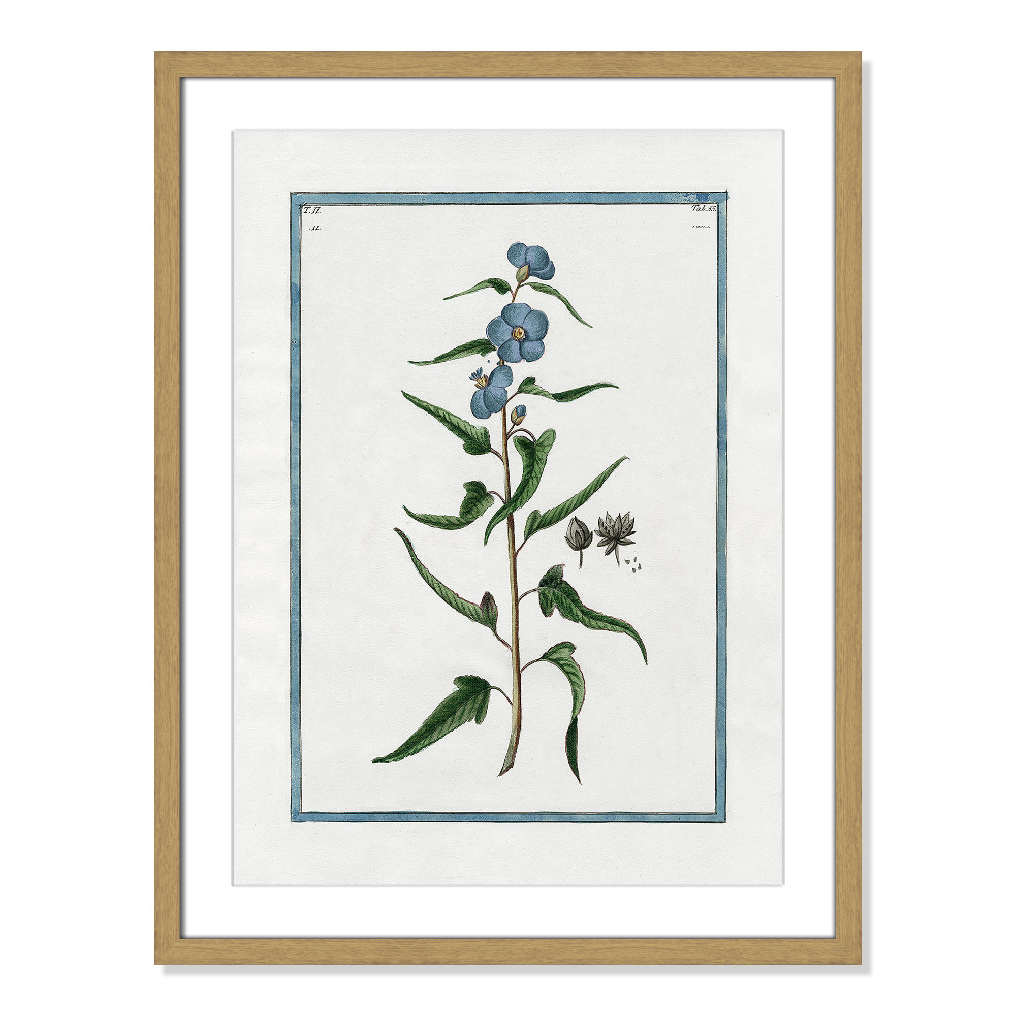 Shabby Elegance Botanical I - Framed Art Full Bleed, Natural Framed, 17" W x 23" H