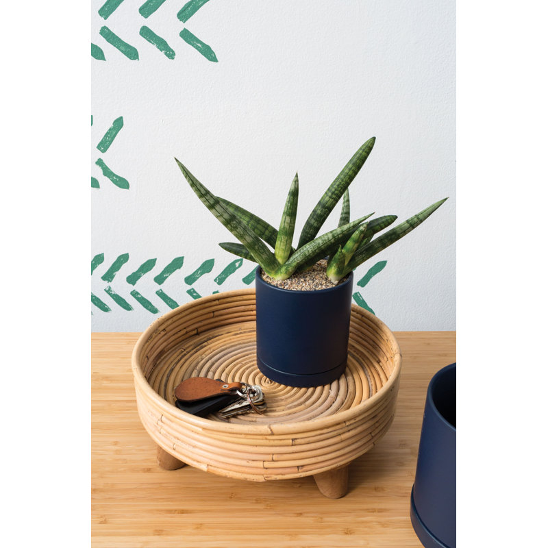 Jardinières en pot, H 4,8 po x l 4,3 po x P 4,3 po, Bleu foncé