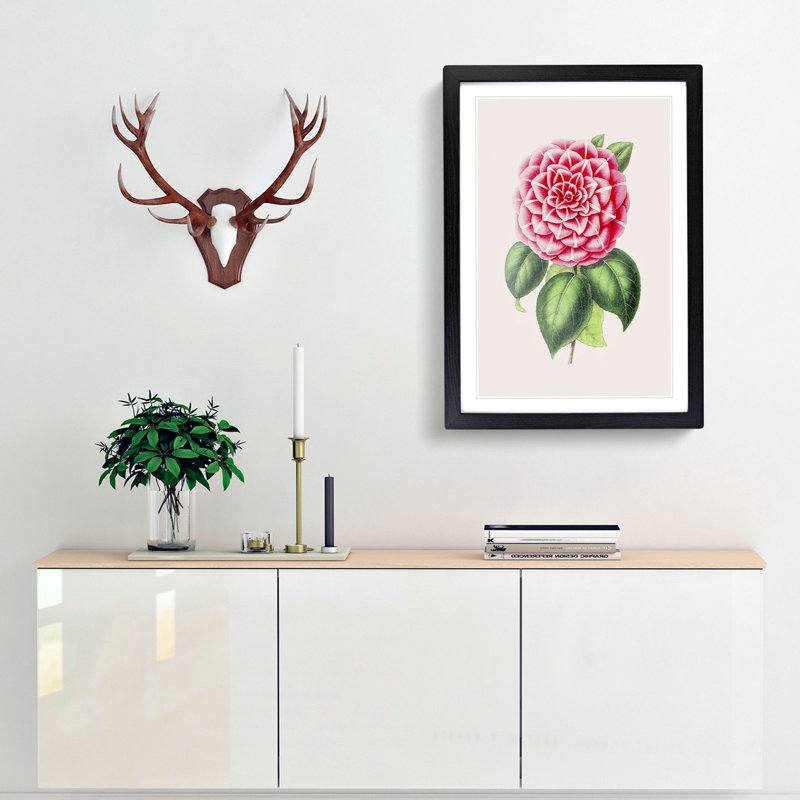 Pink Japanese Camellia Illustration - Picture Frame Painting Print, Black Framed, 65cm H x 48cm W x 2cm D