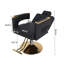 Fauteuil de coiffeur hydraulique professionnel avec accoudoirs en métal creux et pivotant à 360 ° - Cuir synthétique noir