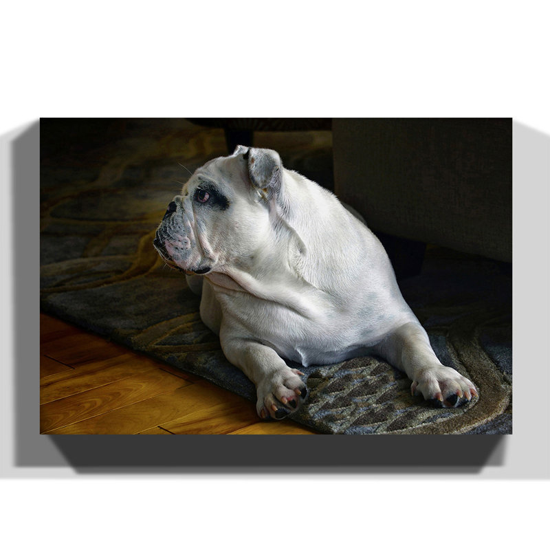 Wrapped Canvas Print, 70cm H x 100cm W