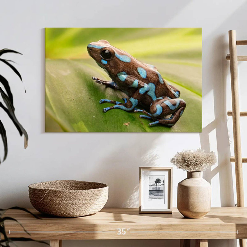 Brampt Exotic Dart Frog, 16" H x 24" W
