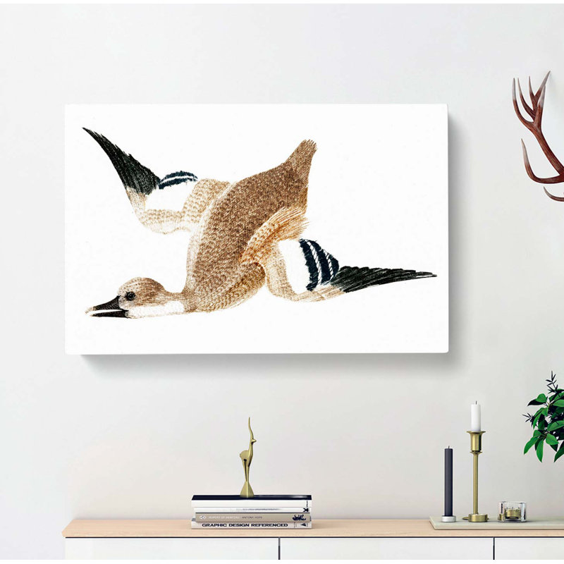 Flying Duck by Johan Teyler - Wrapped Canvas, 40cm H x 60cm W x 3cm D