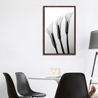 Hong Pham - Print on Canvas