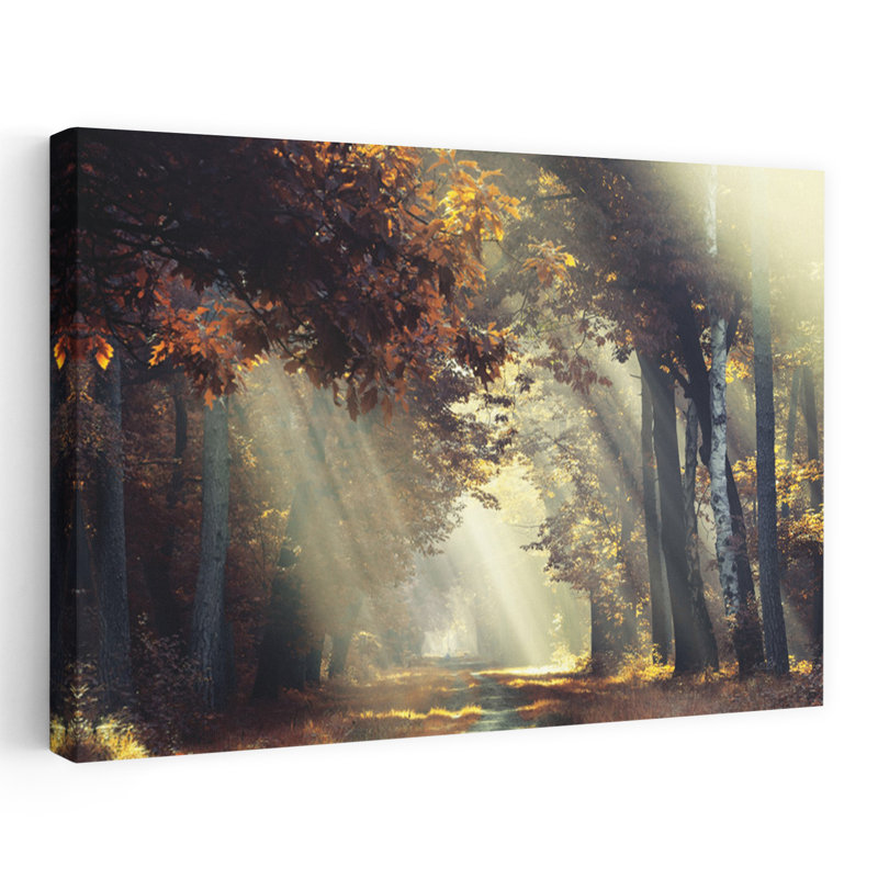 Rayons de soleil, paysage contemporain abstrait, art naturel, H 40 po x l 60 po