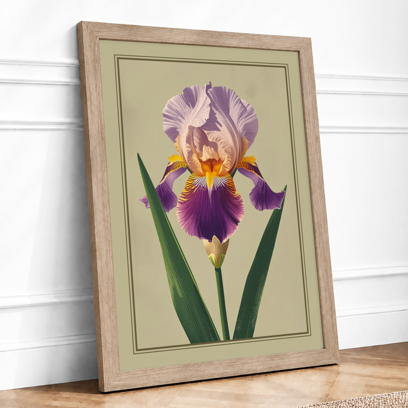 Bearded Iris Botanical - Framed Print, A1 - 84.1 x 59.4 cm, Oak