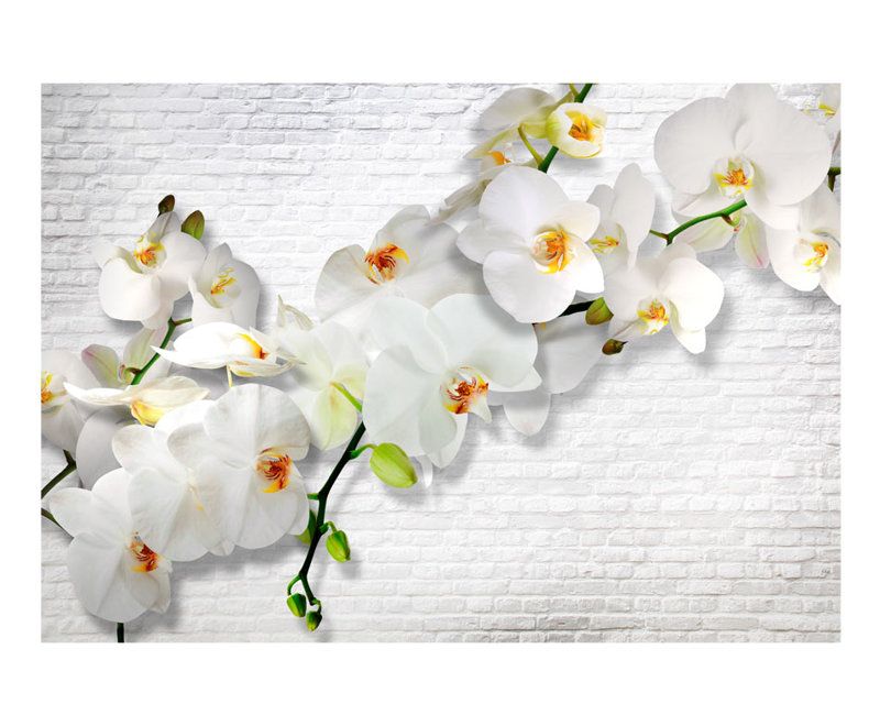 Patryck Peel & Stick Roll, 6.89' L x 115.7" W