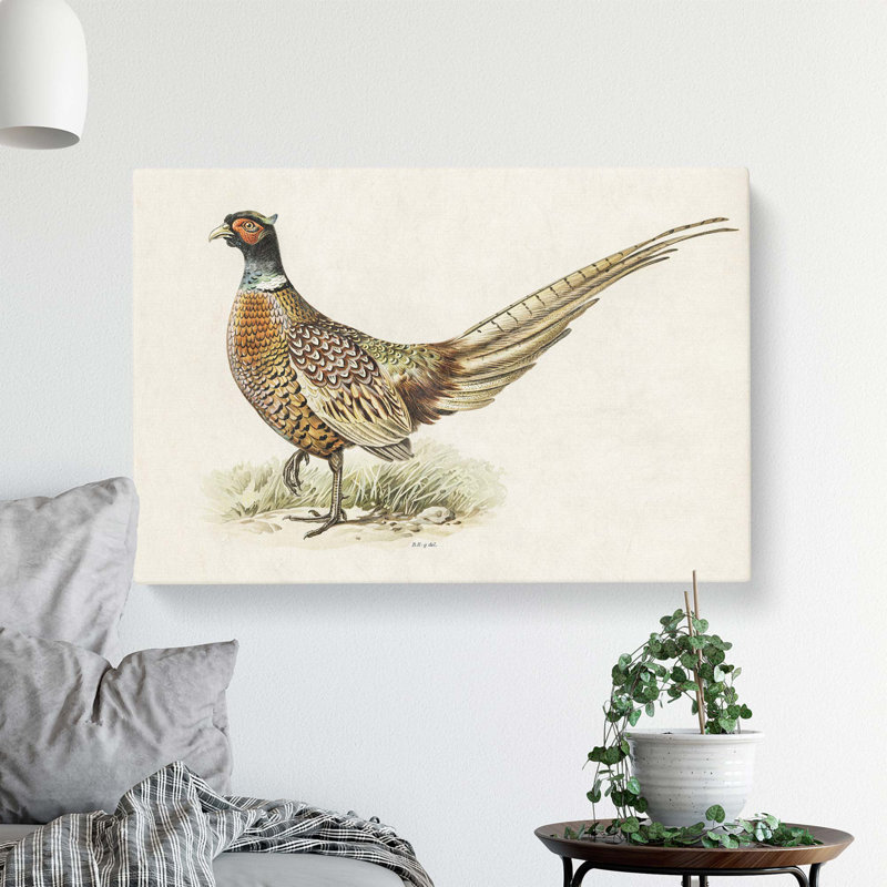Ring-Necked Pheasant by Von Wright - Wrapped Canvas, 35.6 cm H x 50.8 cm W