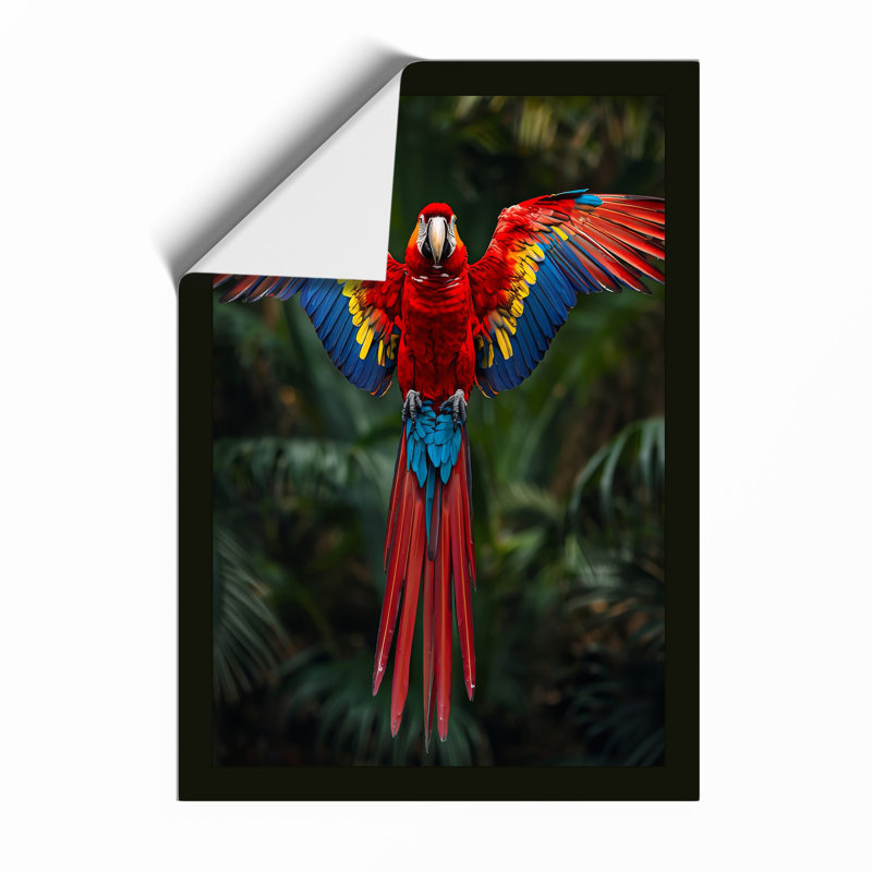Macaw in Flight Tropical - Framed Print, A2 - 59.4 x 42.0 cm, Unframed