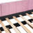 Upholstered Daybed With Ergonomic Design Backrest And Trundle