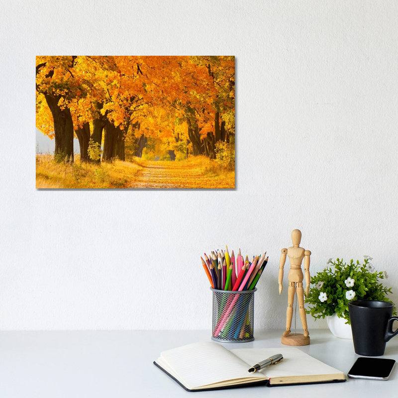 Poland, Jura, Maple Alley II by Mikolaj Gospodarek - Wrapped Canvas Print, 20.32cm H x 20.32cm W x 1.905cm D