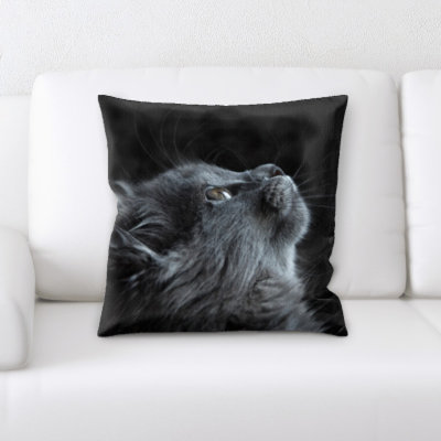 Coussin Cat