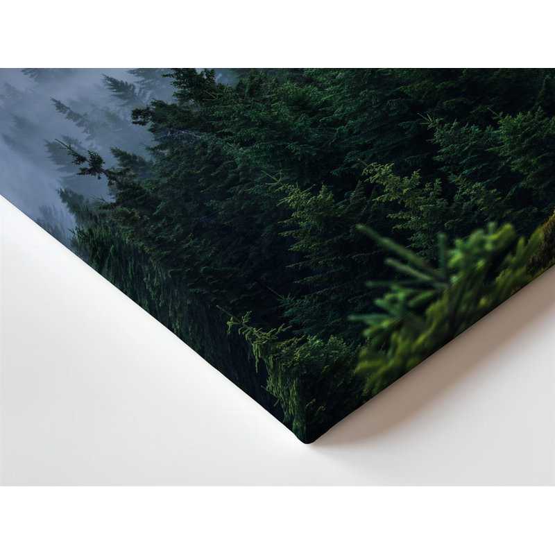 Toile, "A Misty Forest Landscape At Dawn", impression d'art mural à feuilles vertes sur fond de brume tourbillonnante