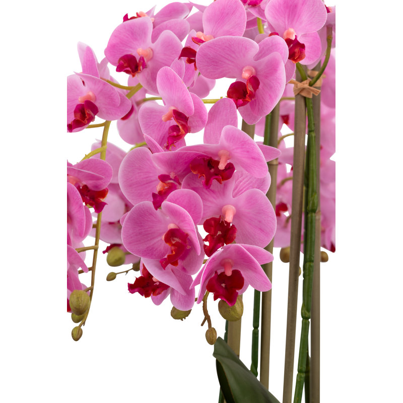 Brianna RealTouch Orchid Arrangement