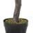 Faux Tree in Pot-454538218