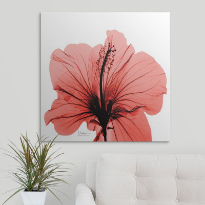 Manigault 'Hibiscus X-Ray by Kiranjit Photographic Print