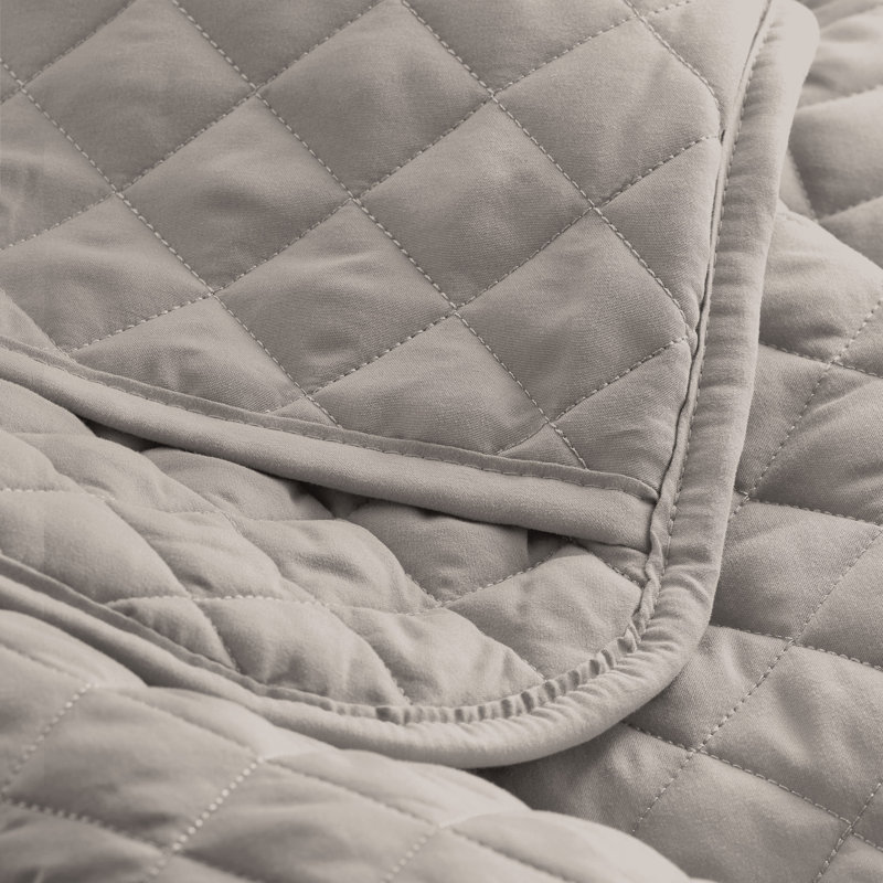 Ensemble de couvre-lit moderne et contemporain en microfibre 3 pièces , Gris clair