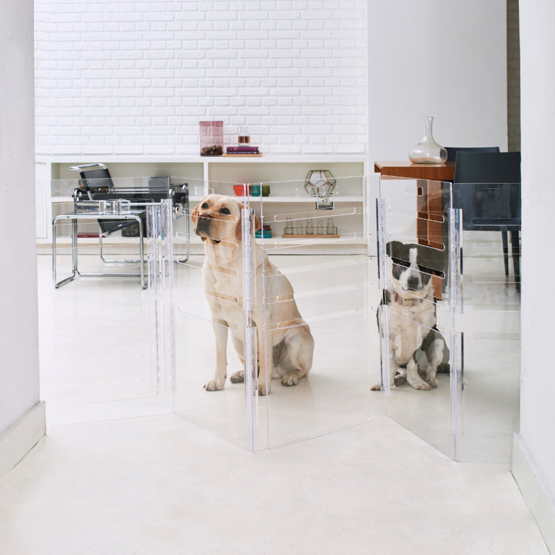 Large Clear View Pet Crate with Silver Latch, Blush