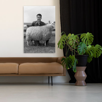 1950, homme adolescent avec prix, mouton domestique, Ovis Aries regardant la caméra, souriant, rétro, rétro