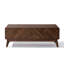Theo Columbia coffee table with storage