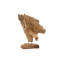 Teak Natural Driftwood Sculpture