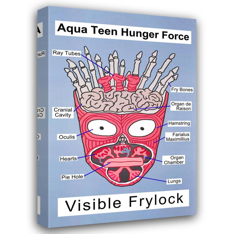 Ado turquoise - Frylock IMP-ST4381R, H 18 po x l 12 po