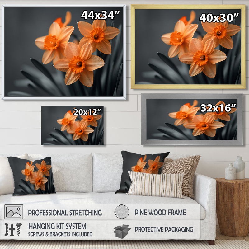 Monochromes tournesol sourire jonquilles I - jonquilles murales, Cadre flottant noir, H 30 po x l 40 po