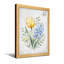 Plantes et fleurs, tulipe jaune et jacinthe bleue-1817284244-1817284329-1817284330
