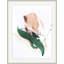 Plants & Flowers Print by Christina Kwan-1069210142