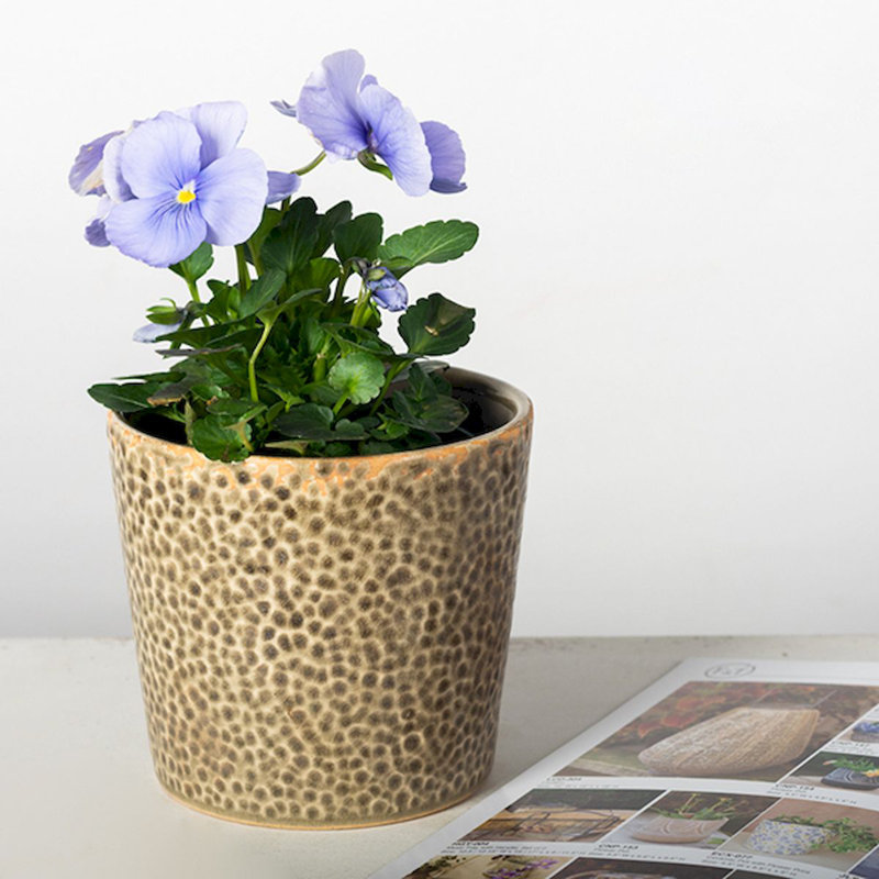 Jessamine Ceramic Cachepot